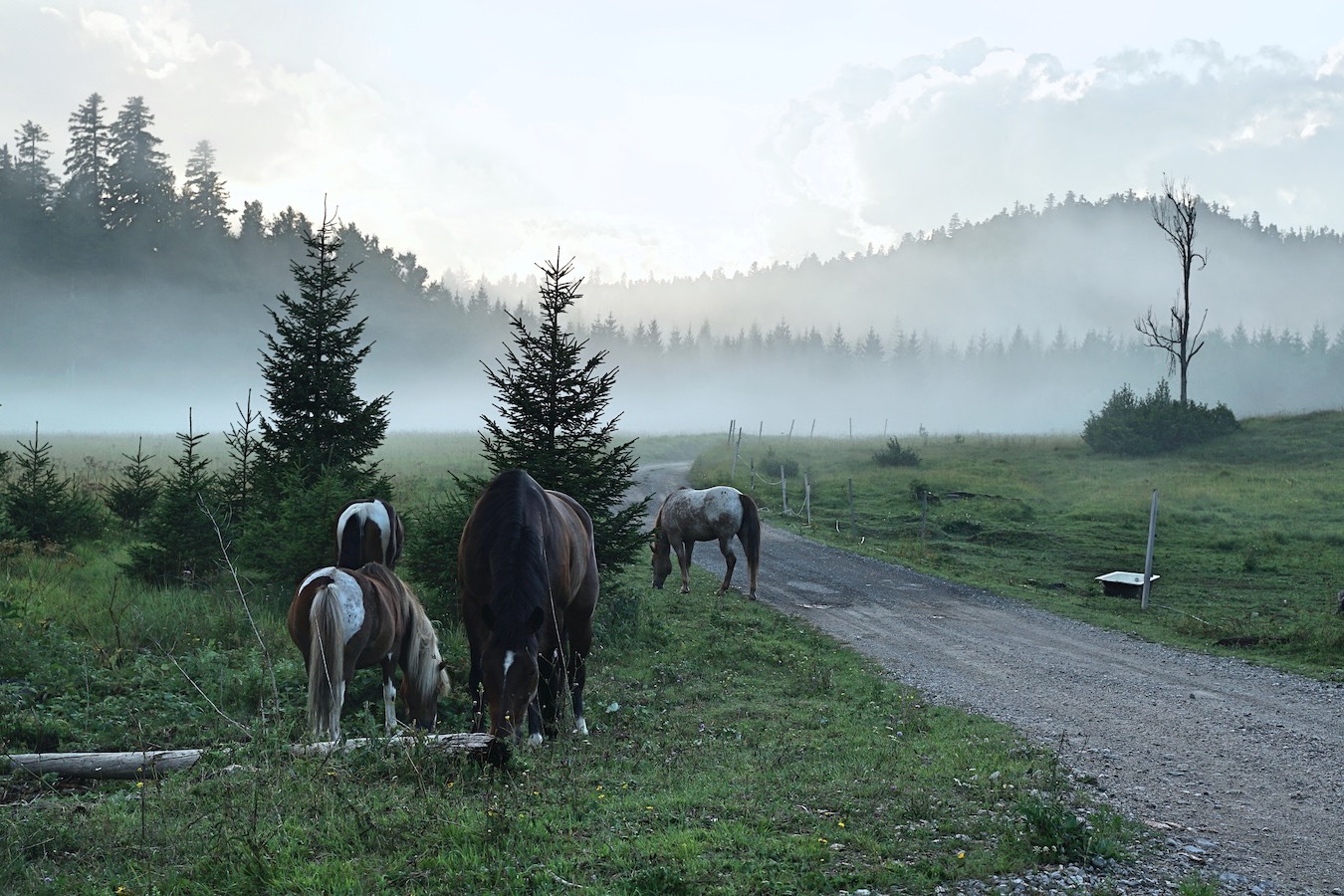 Fuzine-Gorski-Kotar-Kroatien