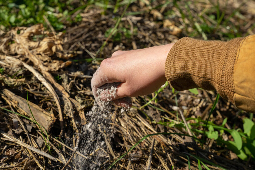 Gartenarbeit