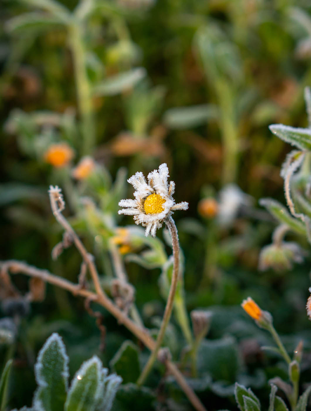 Natur-Selbstfindung