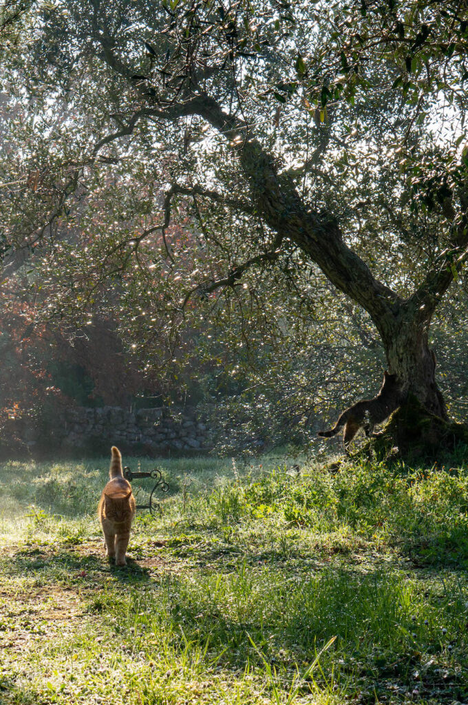 Puglia-Natura